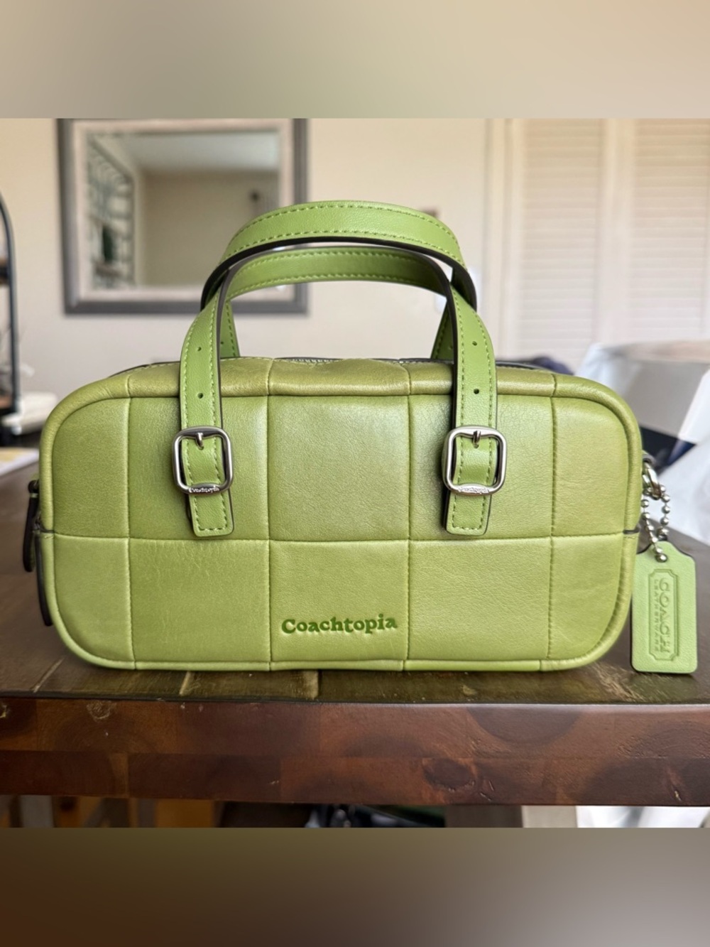 Coachtopia Alter Ego Mini Satchel in Dark Lime | Price Firm
